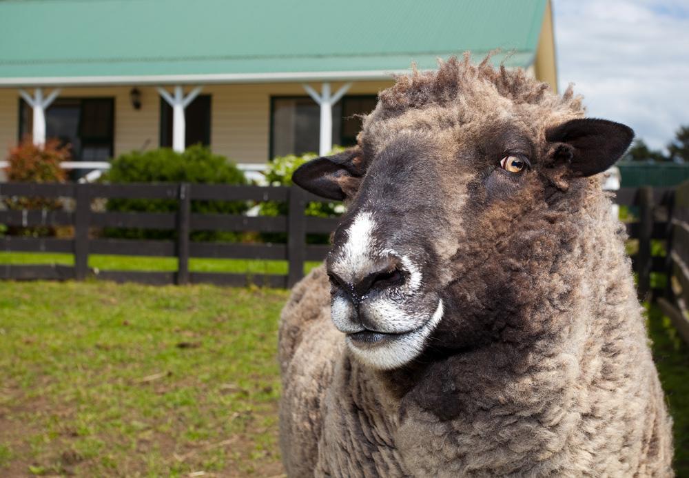 Kerry Lane Motel Hawera Eksteriør bilde